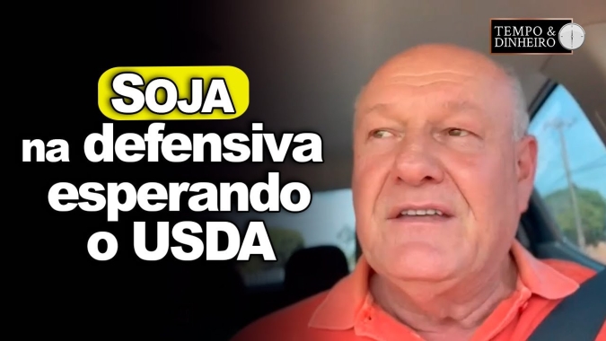 Soja na defensiva a espera do USDA, analisa Vlamir Brandalizze