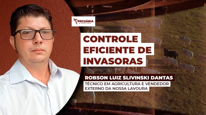 Controle de plantas invasoras ainda é um desafio nas pastagens interferindo na rentabilidade da pecuária