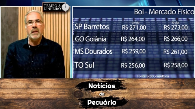 Boi gordo tem mercado travado sem expectativa de alta para arroba