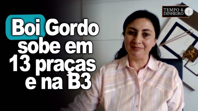 Boi gordo sobe em 13 praças e na B3 . Shirley Menezes, do CEPEA comenta o movimento da boiada