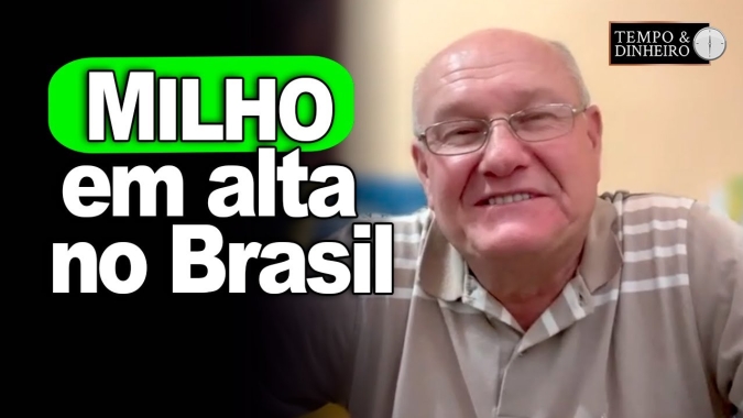 Milho em alta no Brasil, analisa Vlamir Branadalizze