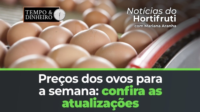 Confira os preços dos ovos para a semana