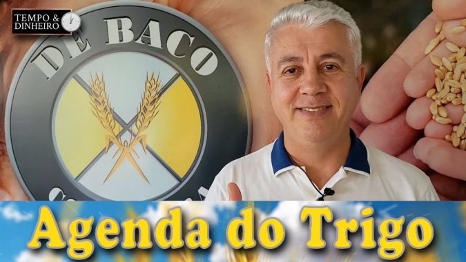 O mercado opera de forma contraditória, tem clima altista, mas a oferta do Mar Negro faz o barato