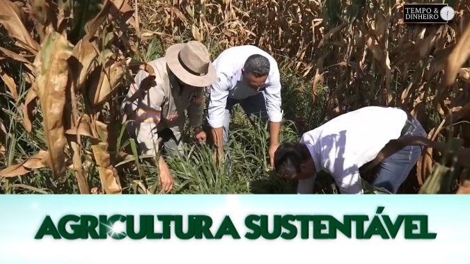 Agricultura Sustentável - com Frederico Olivi