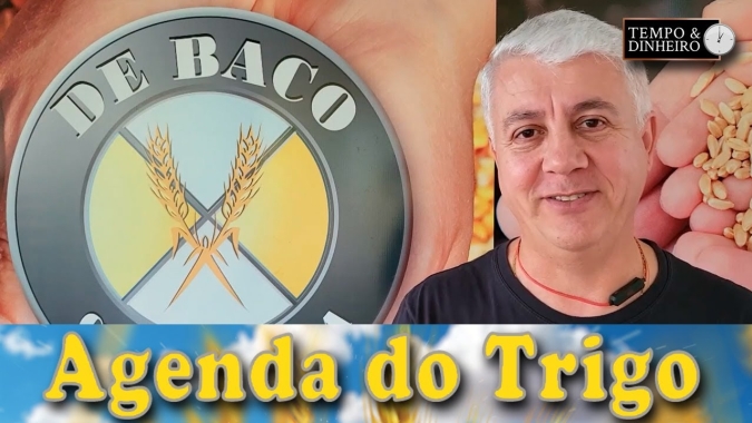 As declarações de Putin, repercutem em altas no mercado...
