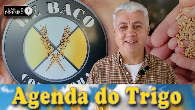 A partir de agora, o plantio de inverno será decisivo para a formação dos preços, atenção ao câmbio