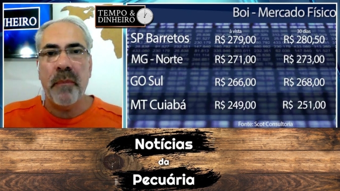 Boi gordo:  aparecem preços maiores oferecidos pelos pequenos frigoríficos