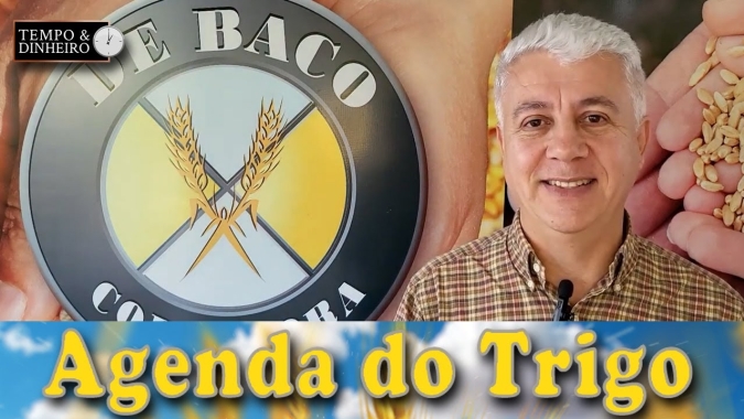 Volatilidade das cotações, mercado consumindo estoques, aproveita esse momento de preços...