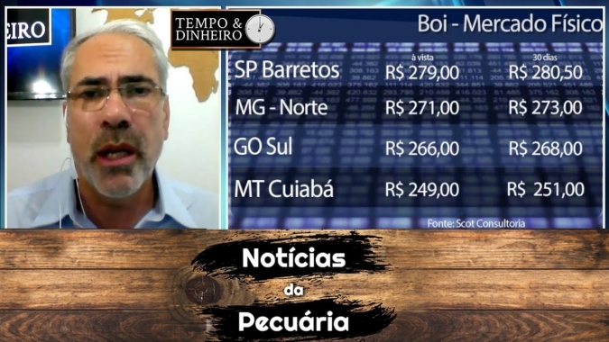 Boi gordo pressionado na B3 e no mercado físico de SP entre R$290 e R$300 arroba