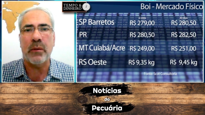 Boi gordo decepciona pecuarista em plena entressafra