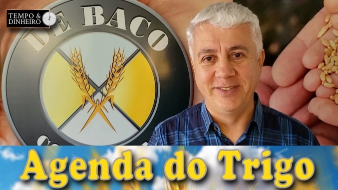 Mesmo com notícias piores o trigo cai nas bolsas