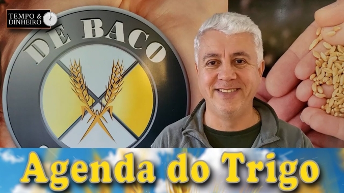 A volatilidade só se justifica pelo risco de desabastecimento