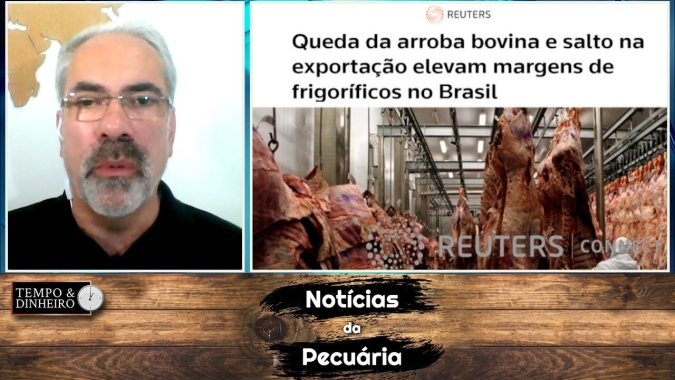 Boi gordo em queda vê resultados excepcionais da indústria