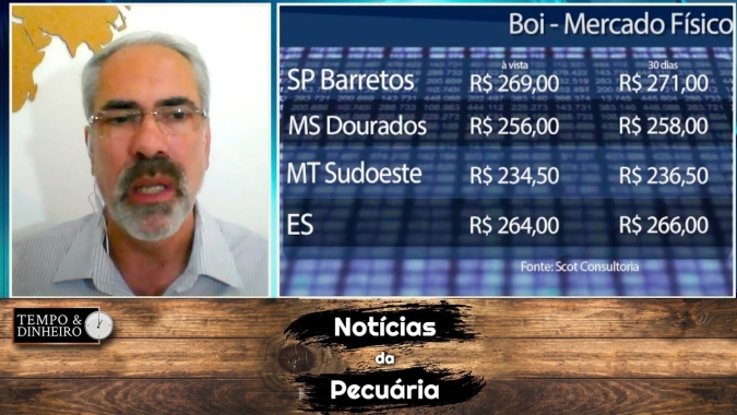 Boi espera reação de preços com redução de oferta e escalas em novembro