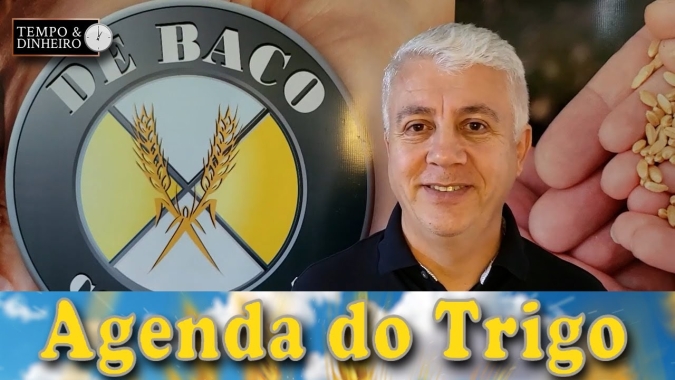 O teatro de guerra traz novas altas ao trigo.