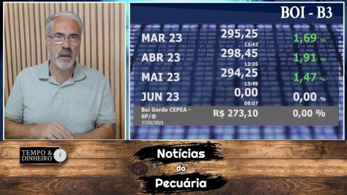 Boi sobe na B3 próximo dos R$300@. Mercado físico segue pressionado