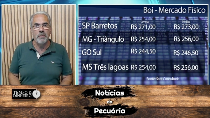Boi gordo tem diferença de R$16@ entre B3 e indicador Cepea