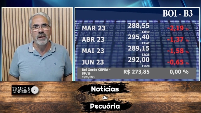 Boi começa a semana mostrando disposição para subir