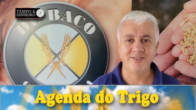 O mercado opera com forças opostas