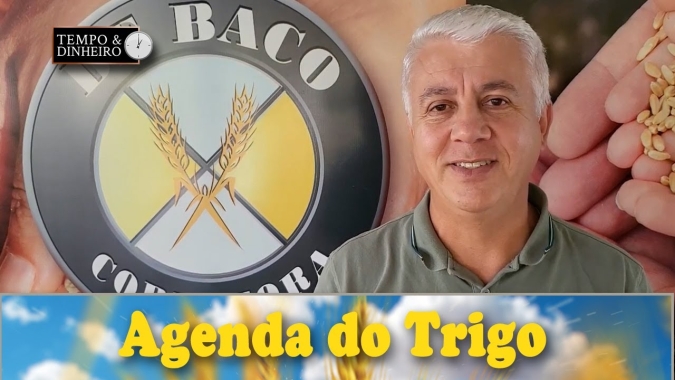 As notícias da renovação do acordo de Istambul, já estão precificadas. Atenção ao clima do H. Norte