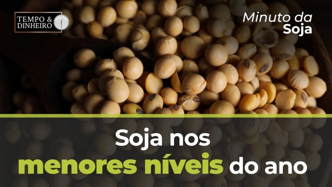 Soja nos menores níveis do ano