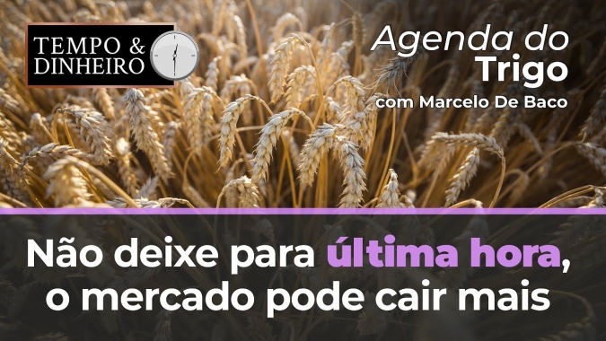 Não deixe para última hora, o mercado pode cair mais