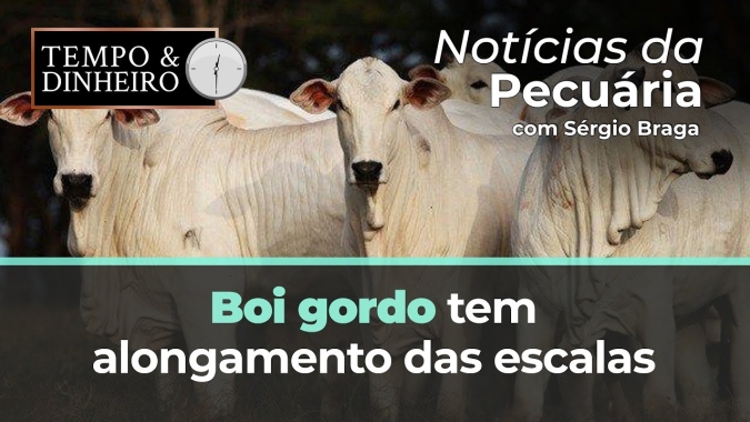 Boi gordo tem alongamento das escalas e fecha abril pressionado