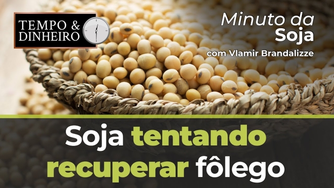 Soja tentando recuperar fôlego