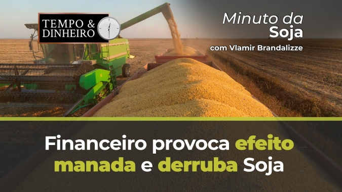 Financeiro provoca efeito manada e derruba Soja