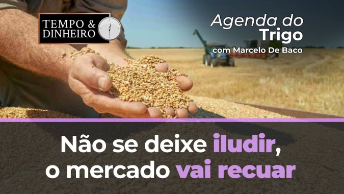 Não se deixe iludir, o mercado vai recuar, saia vendido nos custos de produção