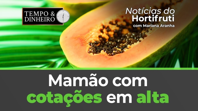Mamão com cotações em alta. Ovo branco registra alta