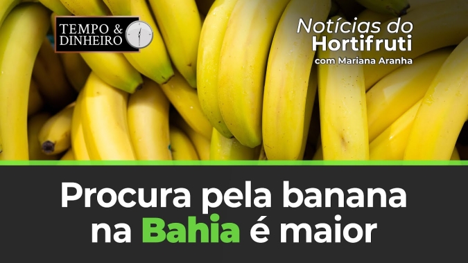 Procura pela banana na Bahia é maior por conta da qualidade