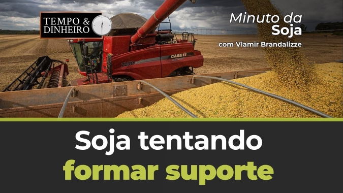 Soja continua tentando formar suporte