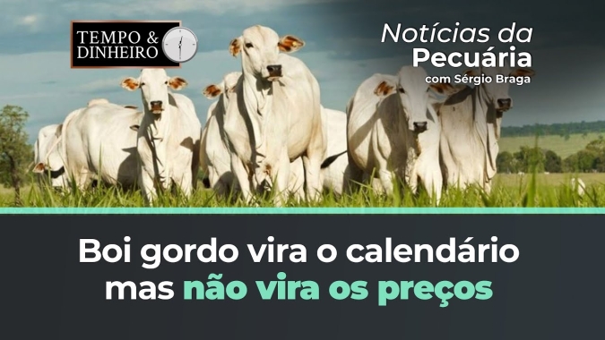 Boi gordo vira o calendário mas não tem virada de preços. BH com arroba abaixo dos R$200