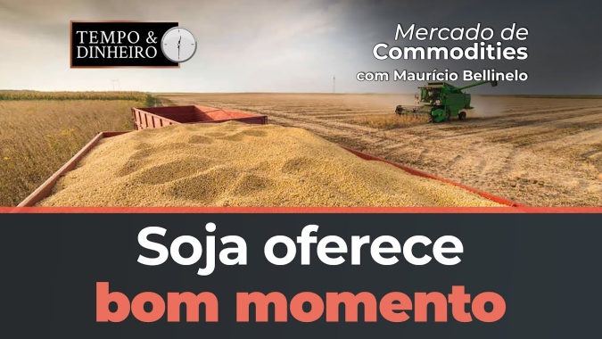 Soja oferece bom momento para montar estratégias de proteção de preços