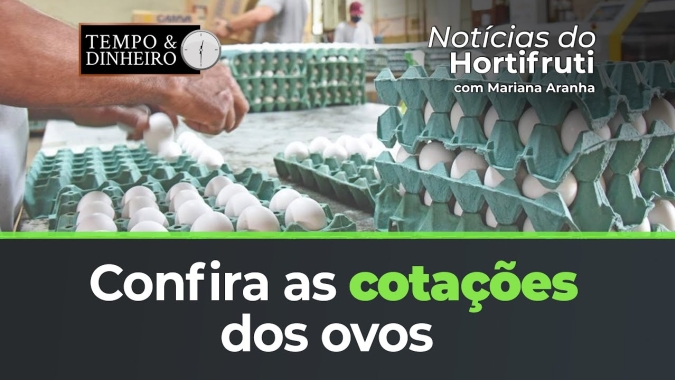 Confira as cotações dos ovos e para a banana