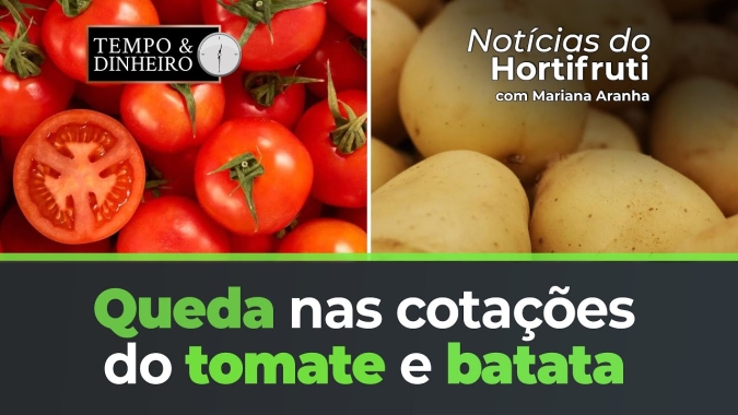 Queda nas cotações do tomate e batata.  Veja como está o preço do mamão formosa
