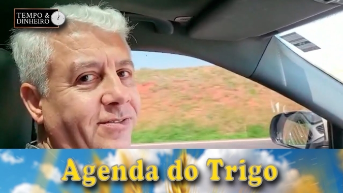 Trigo tem perspectiva de alta nas cotações em janeiro, segundo Marcelo De Baco