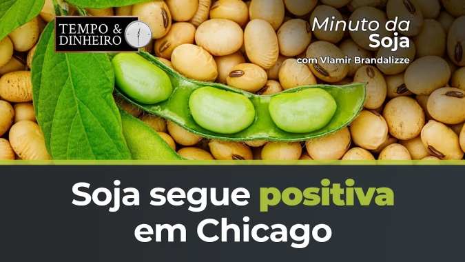 Soja segue positiva em Chicago