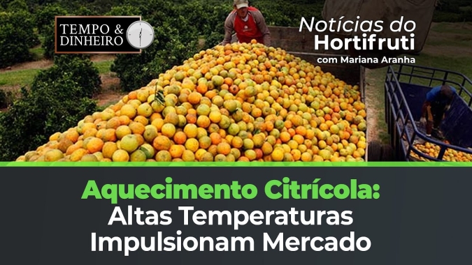 Temperaturas acima do normal aquecem mercado citros.