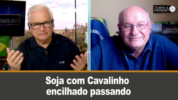 Soja com Cavalinho encilhado passando