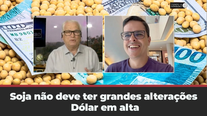 Soja não deve ter grandes alterações no mercado físico. Dólar em alta Maurício Bellinello