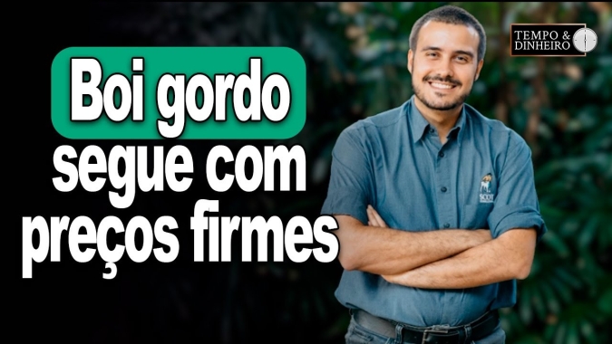 Boi gordo segue com preços firmes com redução das fêmeas, informa Felipe Fabbri, da Scot