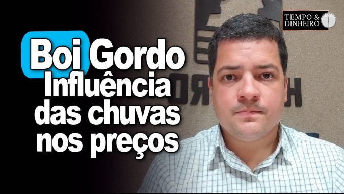 Boi gordo e influência das chuvas no mercado. Hyberville Neto explica
