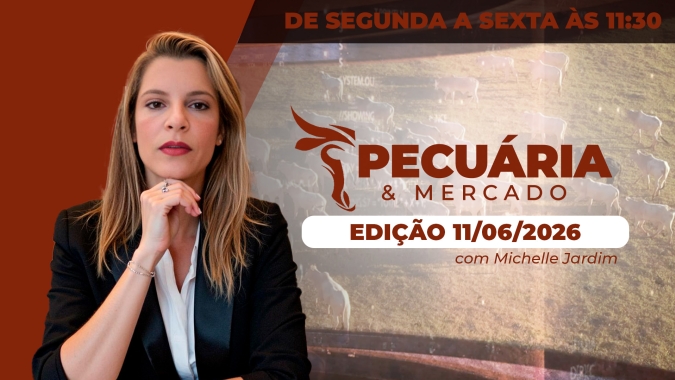 Poder de compra do pecuarista em relação ao milho avança 19%
