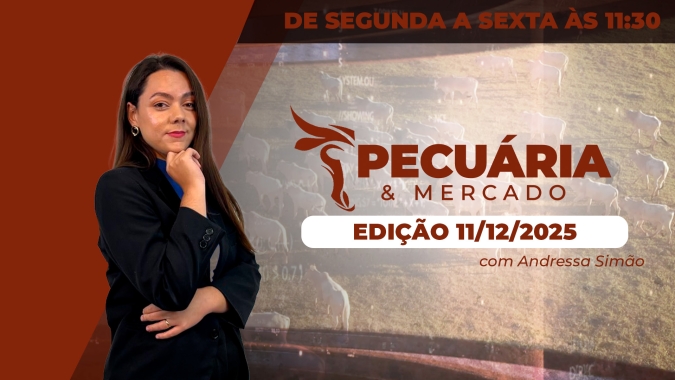 Frigoríficos iniciam férias coletivas e estabilidade predomina no mercado do boi nesta semana