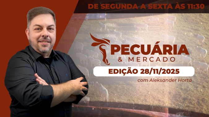 Dezembro inicia com cenário favorável para alta da arroba do boi gordo