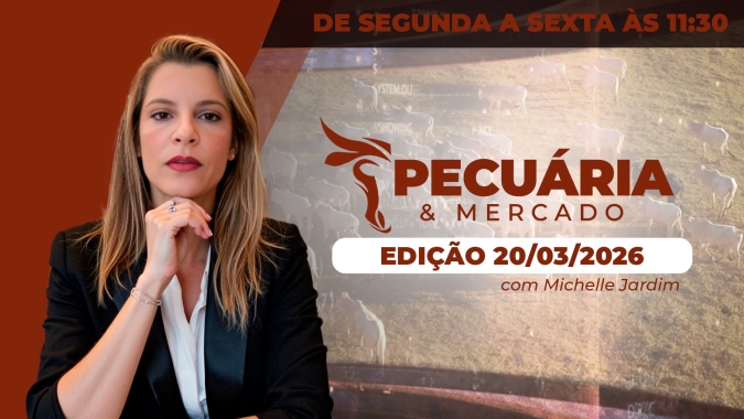 Pecuária em 2026: entre mercado firme, rastreabilidade e desafios nas exportações