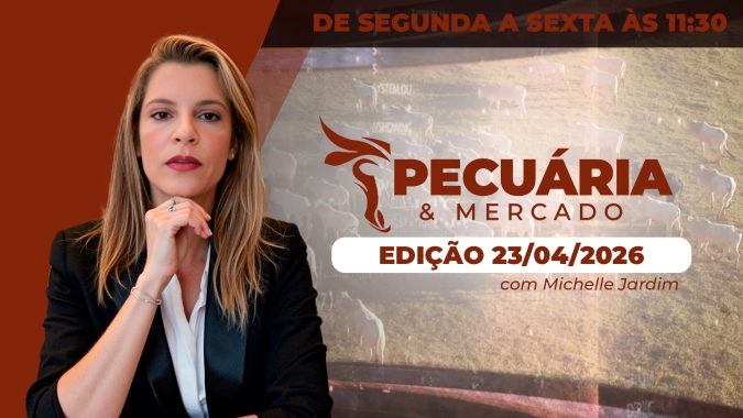 Mercado do boi gordo vive contraste entre físico firme e queda no futuro