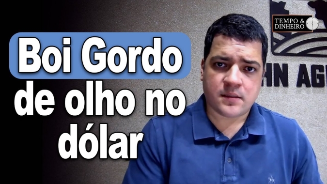 Boi gordo abre semana de olho no recebimento de salários e dólar. Hyberville Neto analisa o mercado